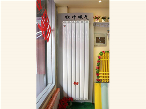 實(shí)景展示